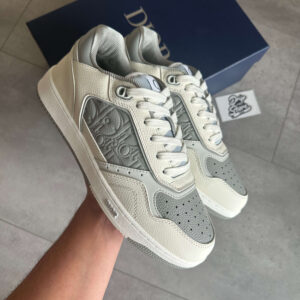 Dior B27 White / Grey