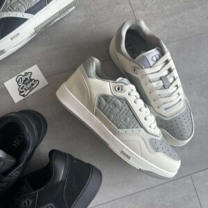 Dior B27 White / Grey