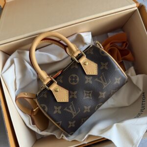Louis Vuitton Speedy Nano